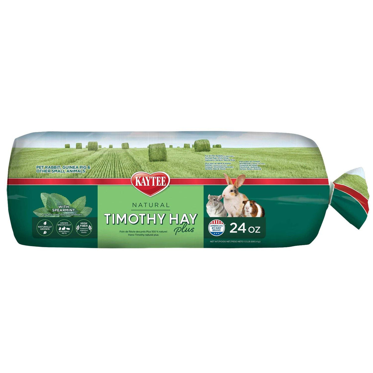 Timothy Hay G164673