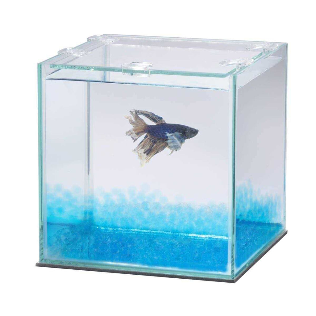 Betta Beads U834