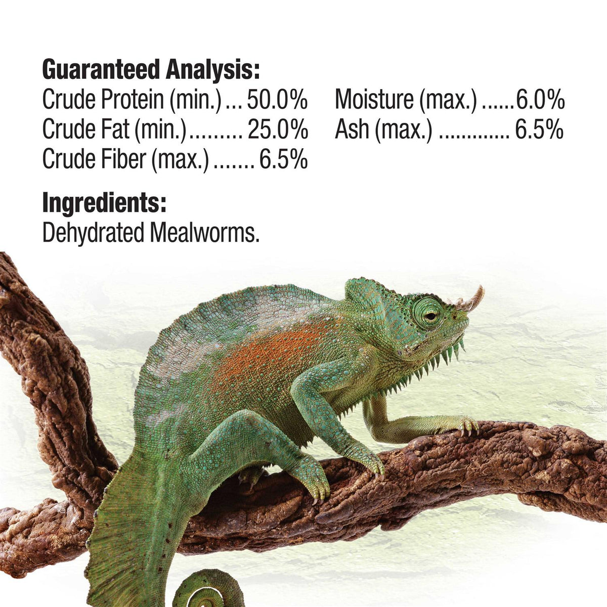 Mealworms Reptile E621063