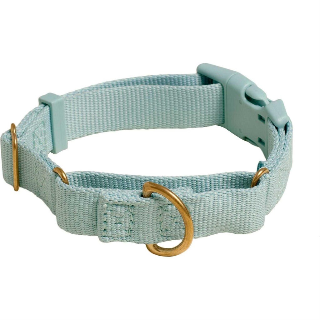 Martingale Dog Collar L30721