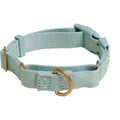 Martingale Dog Collar L30721