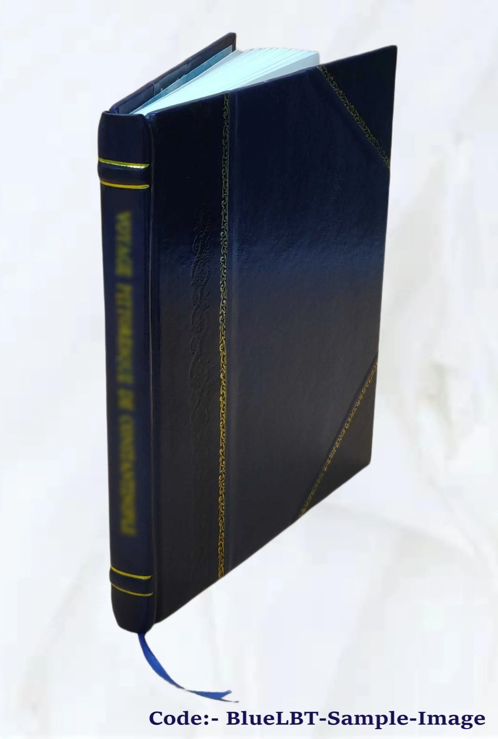 Le plan astral (2e édition revue et corrigée) par C. W. Leadbeater, traduit de l'anglais 1906, Leather Bound J853898