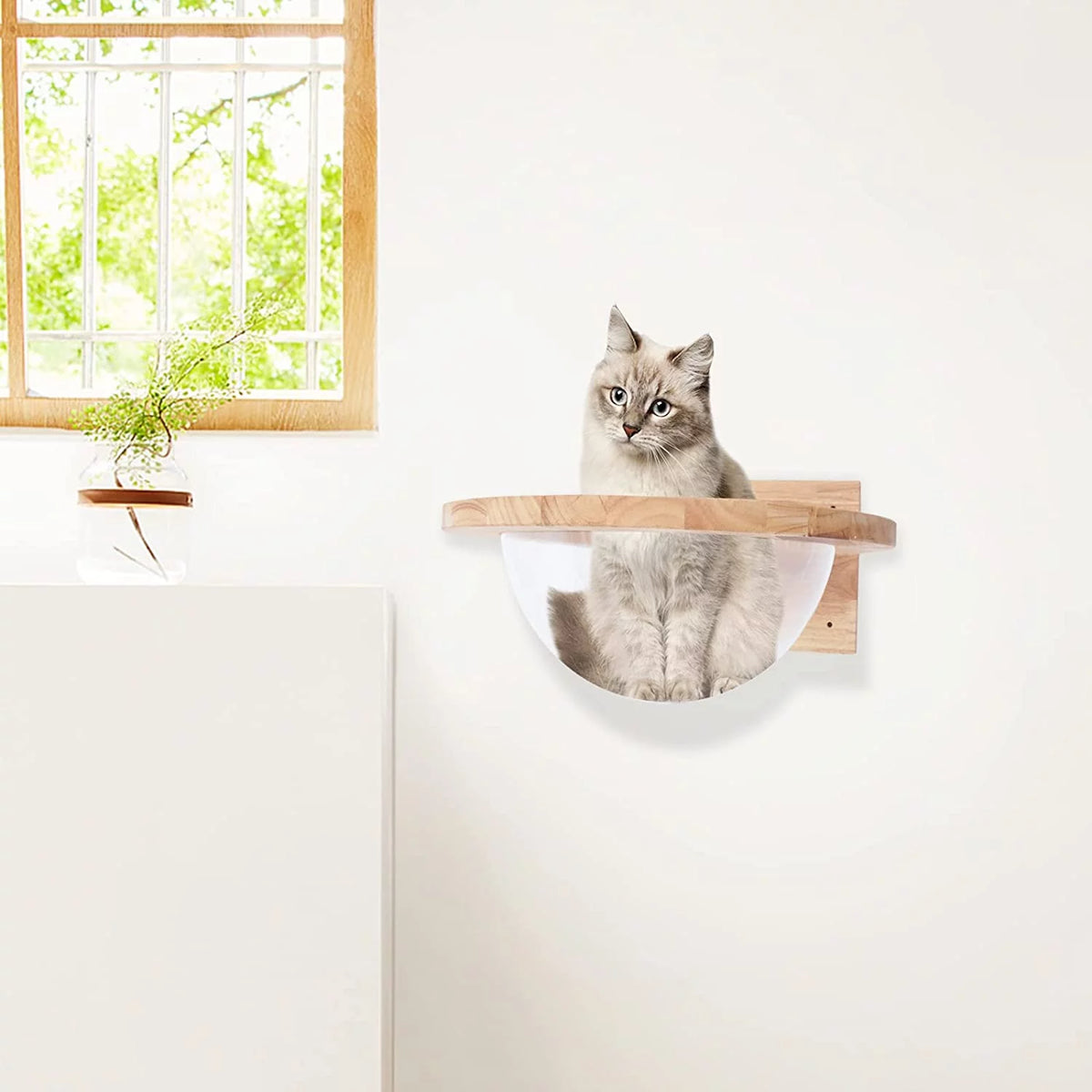 Wall Mounted Cat Bed Climbing Frame T294