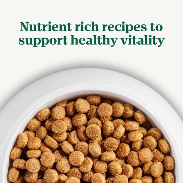 Adult Beef Rice Dry Dog Food J9466
