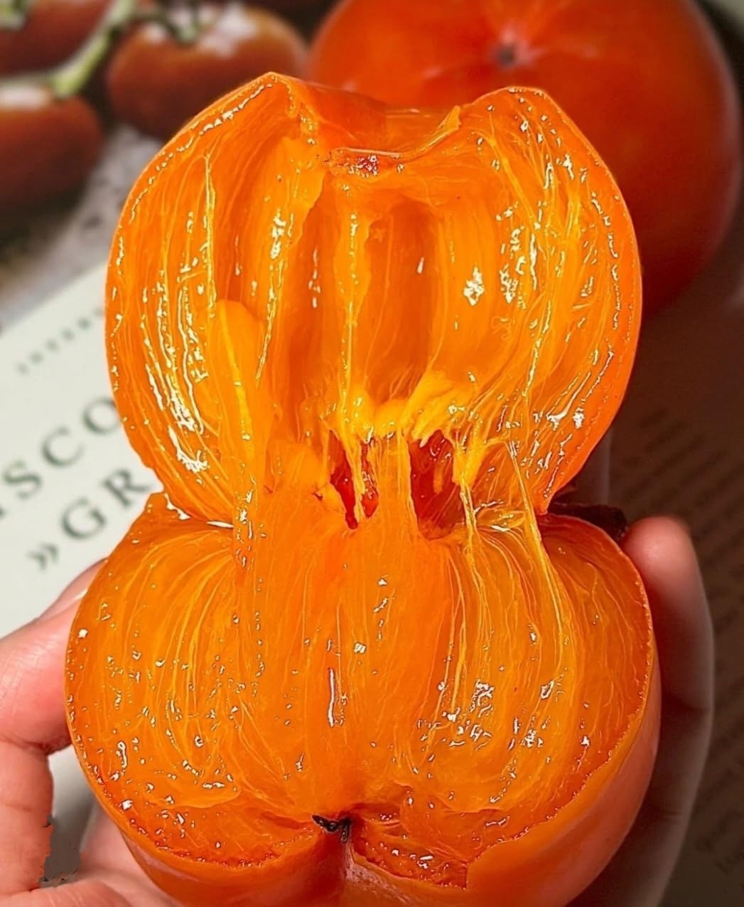 120 Seed Japanese Persimmon Seeds for Planting R424