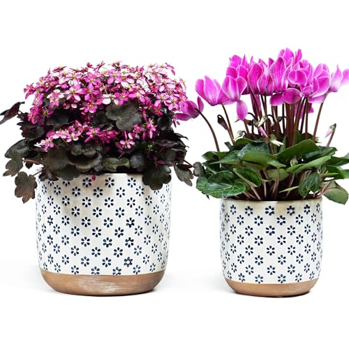 Set of 2 Ceramic Stoneware Plant Pots with Drainage Hole L390