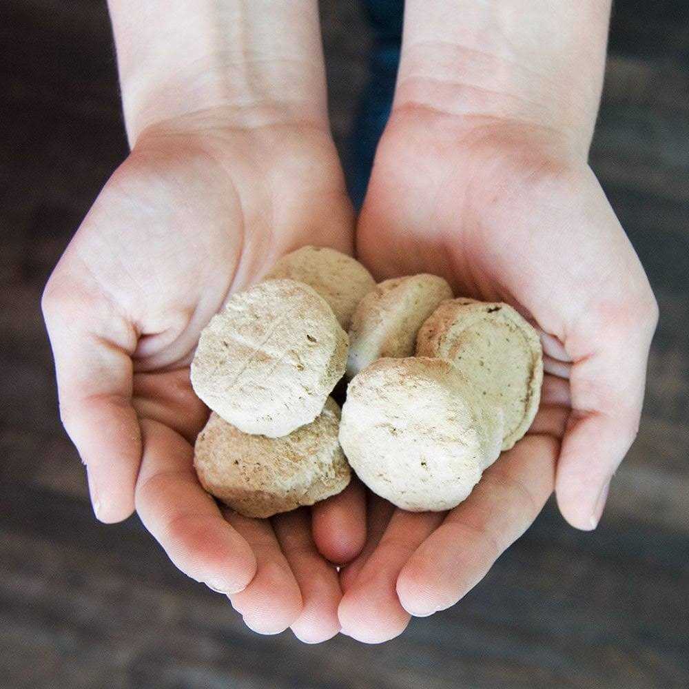 Freeze-Dried Raw Dog Food Salmon Patties M80472
