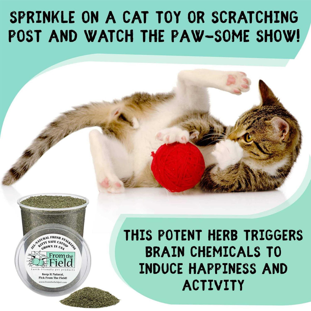 Catnip W57411