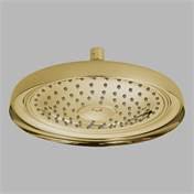 Brushed Nickel Ceiling Mount Raincan Shower Head W400