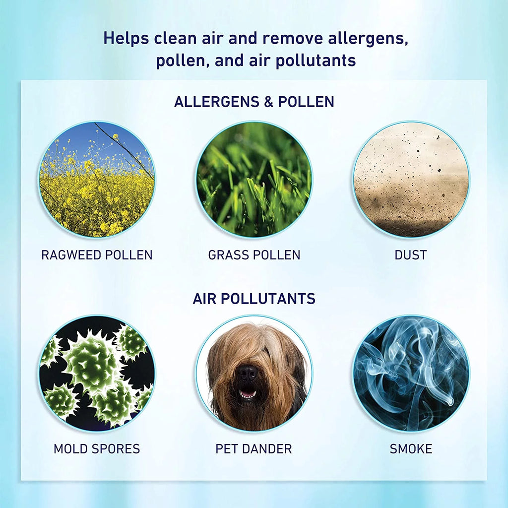 Small Room Air Purifier with Permanent Air Filter U646