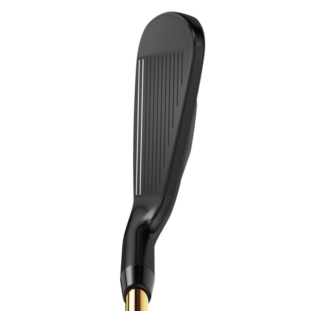 Graphite Senior Individual Iron R741