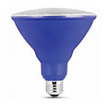 PAR38 LED Bulb, Case of 4 X5880