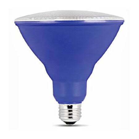 PAR38 LED Bulb, Case of 4 X5880