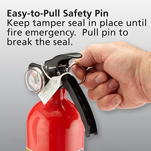 Red 2 Pack Dry Chemical Fire Extinguisher Y9721