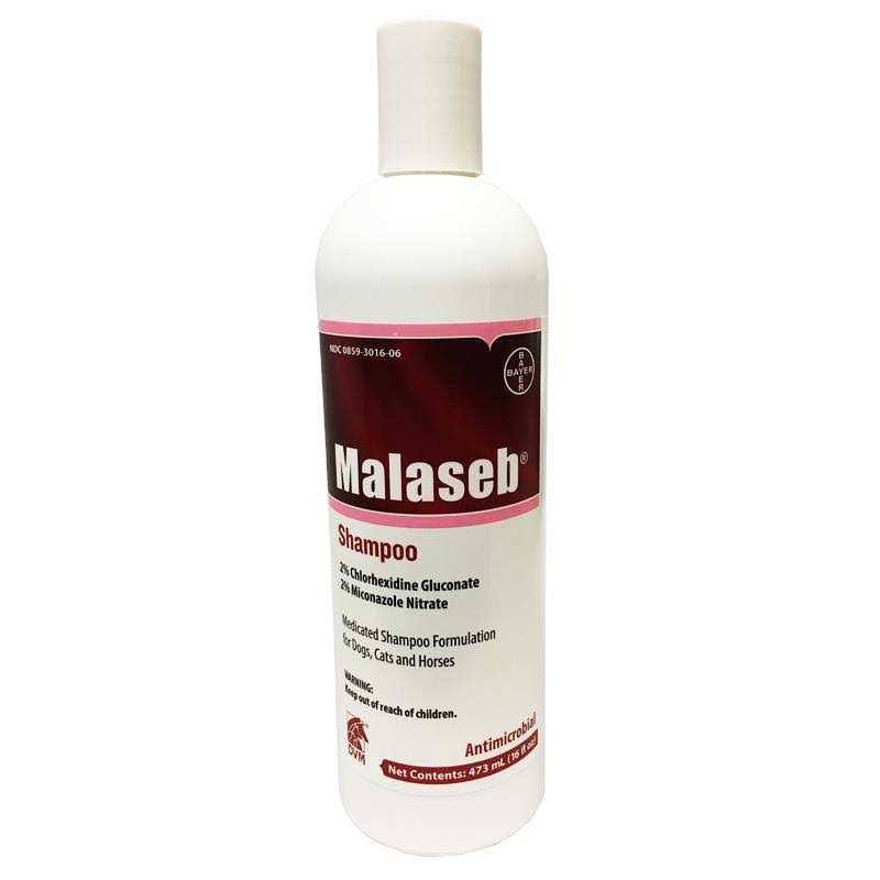 Shampoo 16 oz I117
