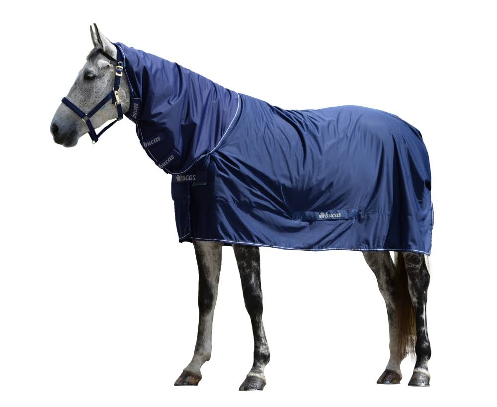 Navy Full Neck 168 Horse Rug I290