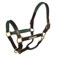 Padded Leather Halter with Nameplate P108