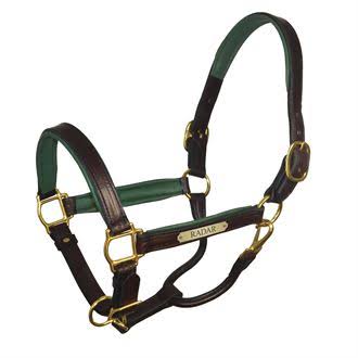 Padded Leather Halter with Nameplate P108