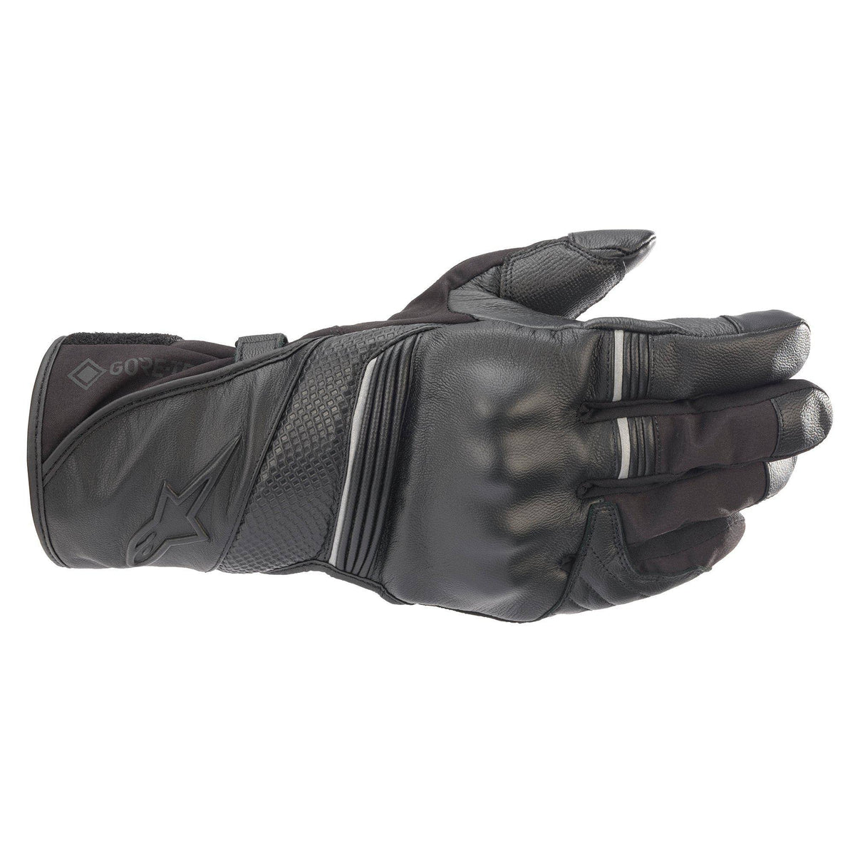 GORE-TEX Gloves (Black) G3482