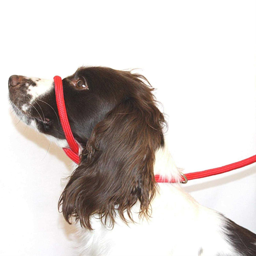 Anti Pull Dog Leash Halter Head Collar One Size Fits All U728851