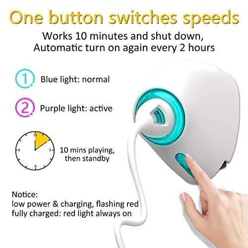 Automatic Hanging Cat String Toy F175723