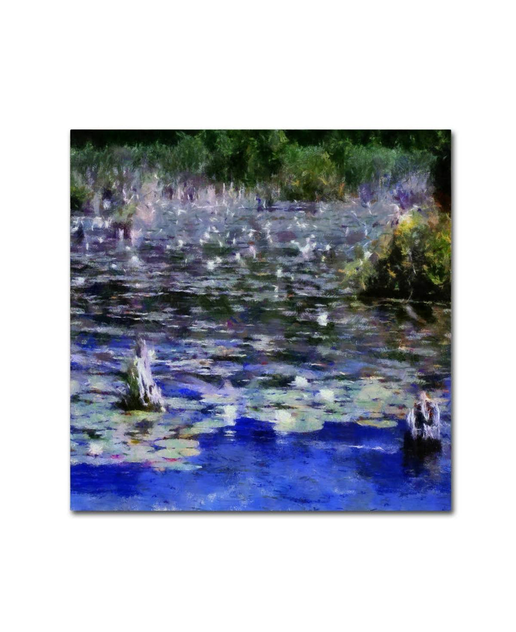 Canvas Art F244375