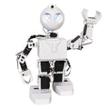 Humanoid Robot J8234