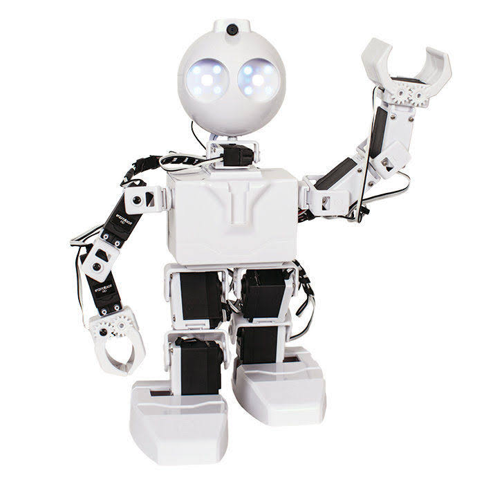 Humanoid Robot J8234