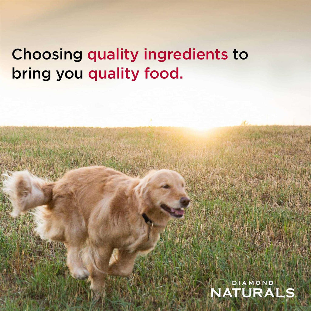 Chicken & Rice Dog Food B64845