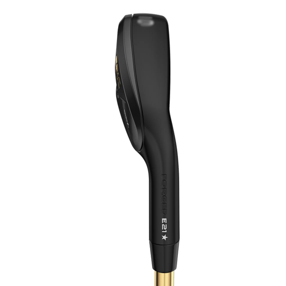 Graphite Senior Individual Iron R741
