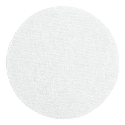 Binder Free Borosilicate Glass Filter Paper 2.7 um, 240 mm (100/Pack) W592