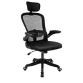 Black Ergonomic High Back Mesh Office Chair with Lumbar Support P9489