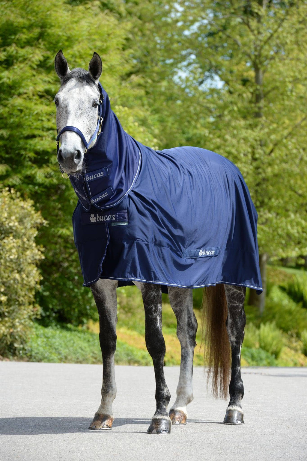 Navy Full Neck 168 Horse Rug I290