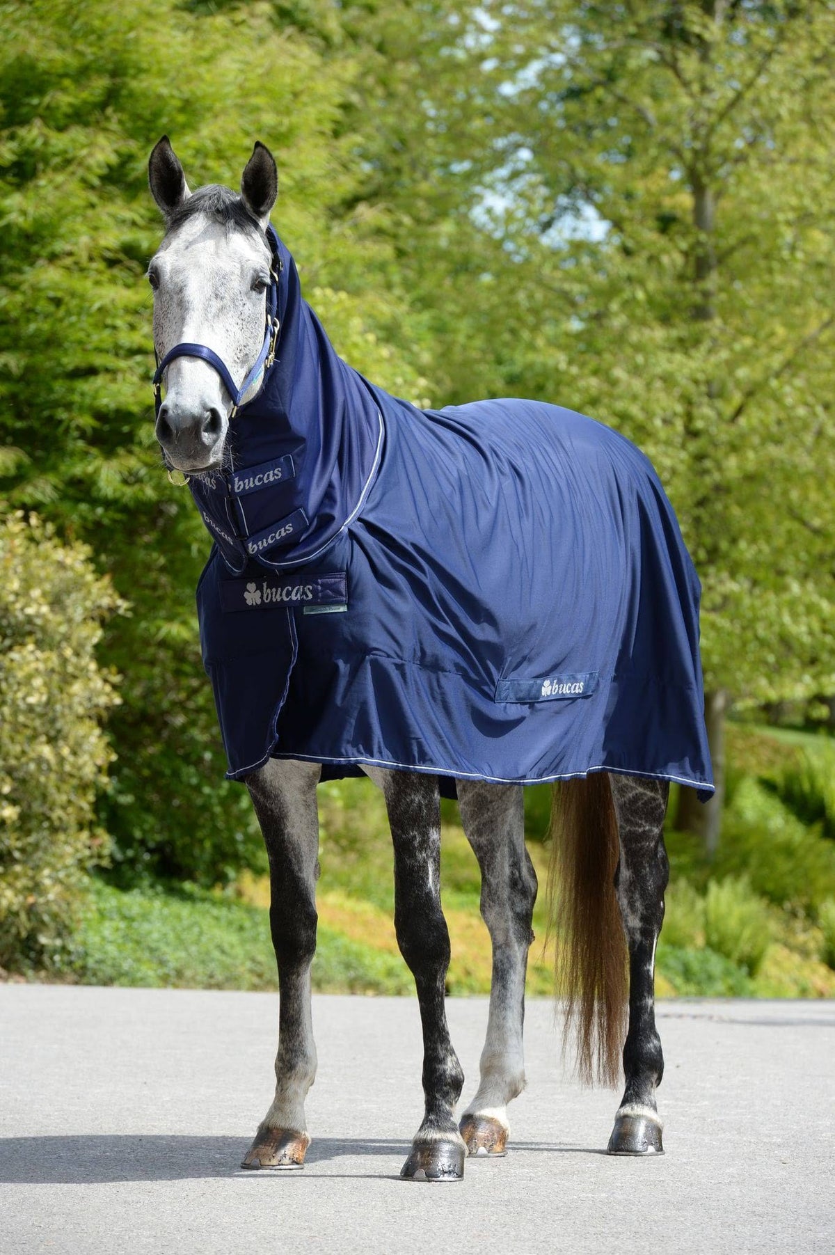 Navy Full Neck 168 Horse Rug I290