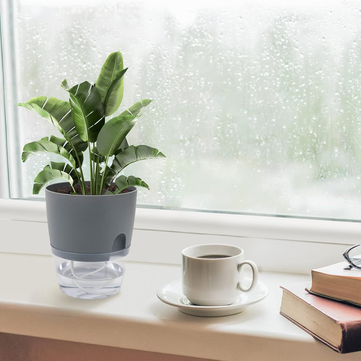 6 Pack Grey Plastic Self Watering Plant Pot Y14090