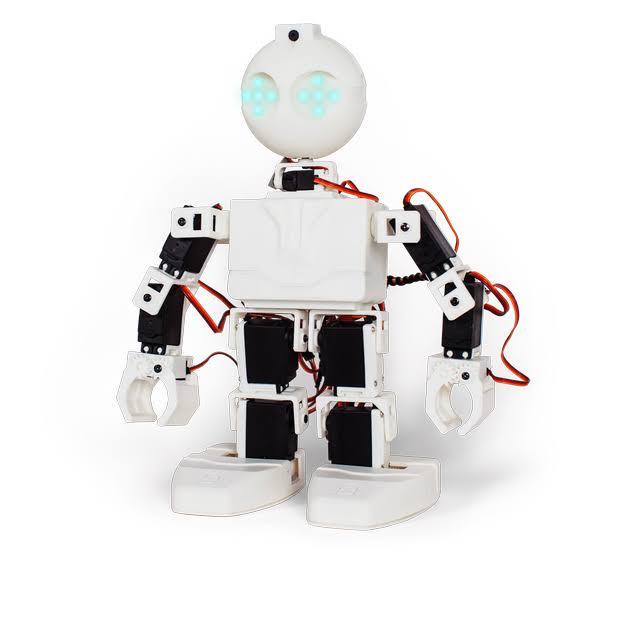Humanoid Robot J8234