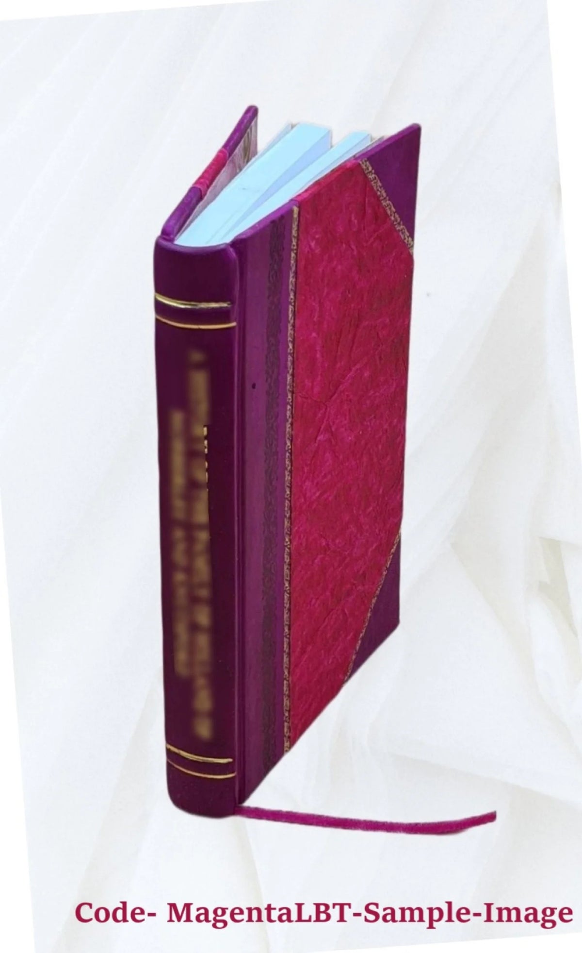 Le plan astral (2e édition revue et corrigée) par C. W. Leadbeater, traduit de l'anglais 1906, Leather Bound J853898
