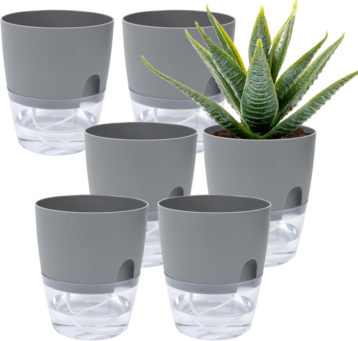 6 Pack Grey Plastic Self Watering Plant Pot Y14090