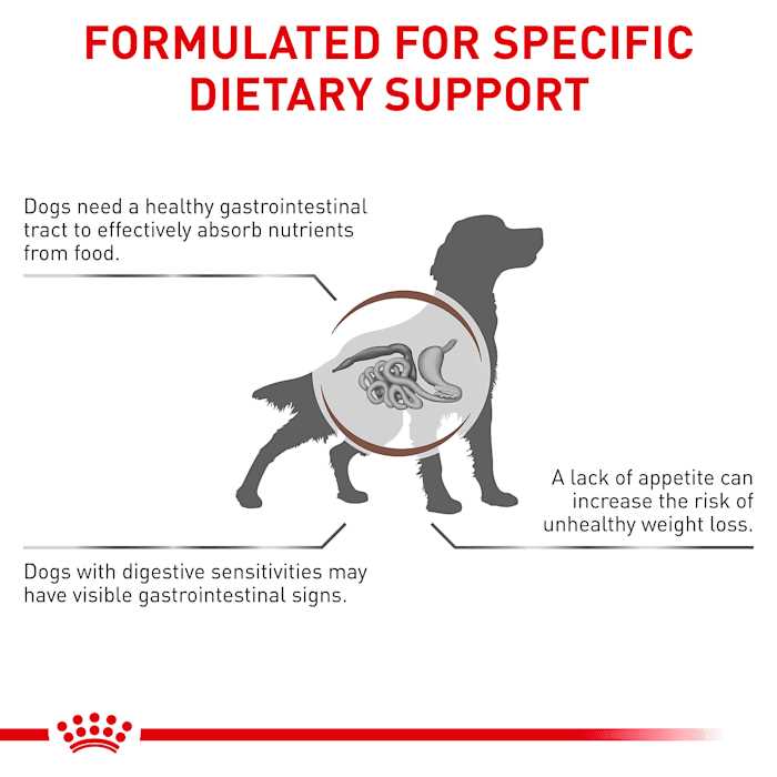 Veterinary Diet Gastrointestinal Dry Dog Food L353