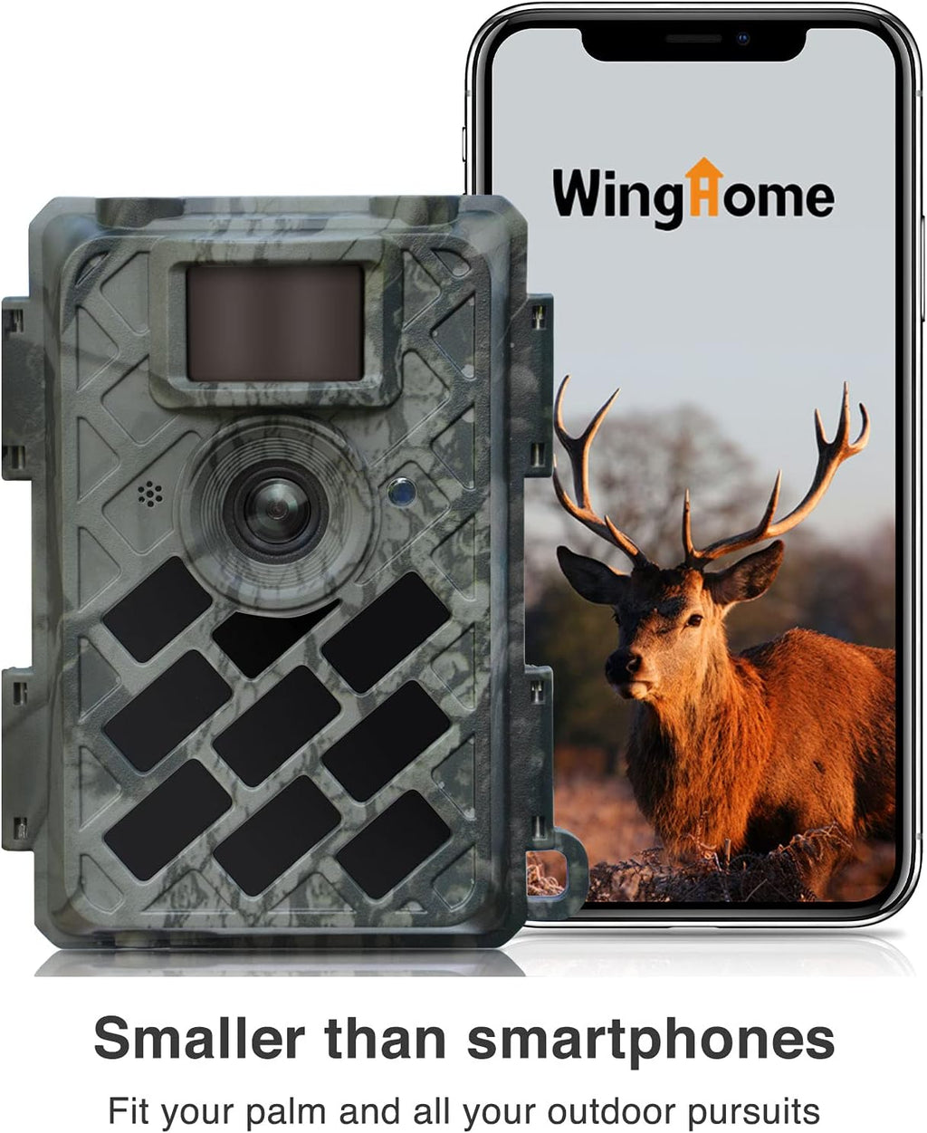 Trail Camera with Night Vision Waterproof IP66 H3680