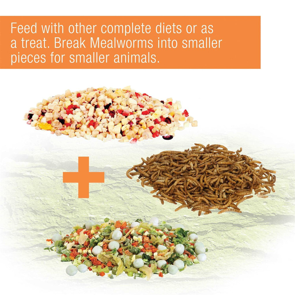 Mealworms Reptile E621063