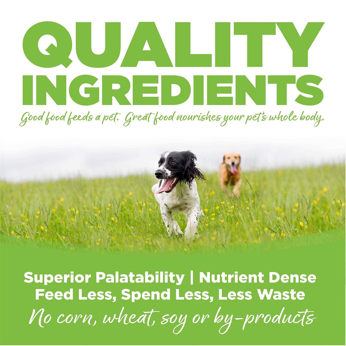 Chicken Weight Management Dry Dog Food T618
