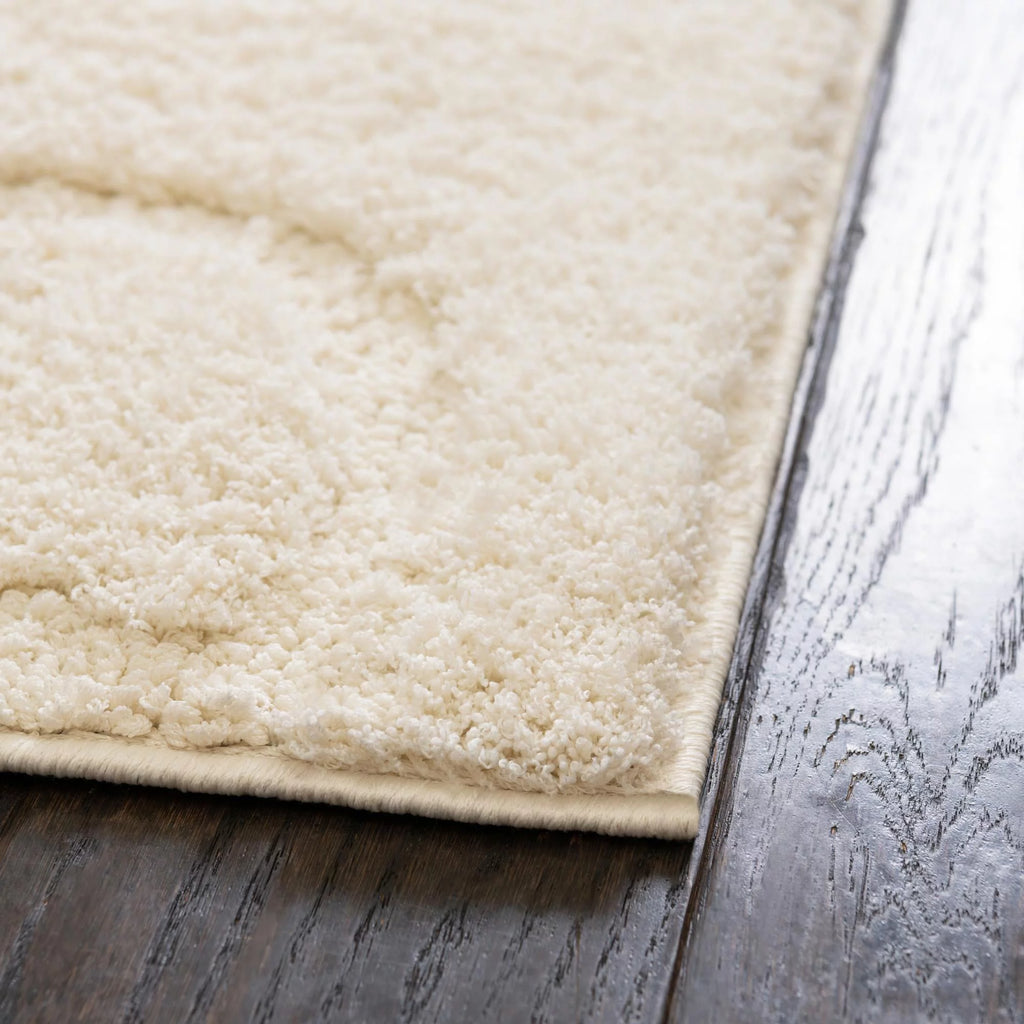 8' x 10' Ivory Shag Rug N4409