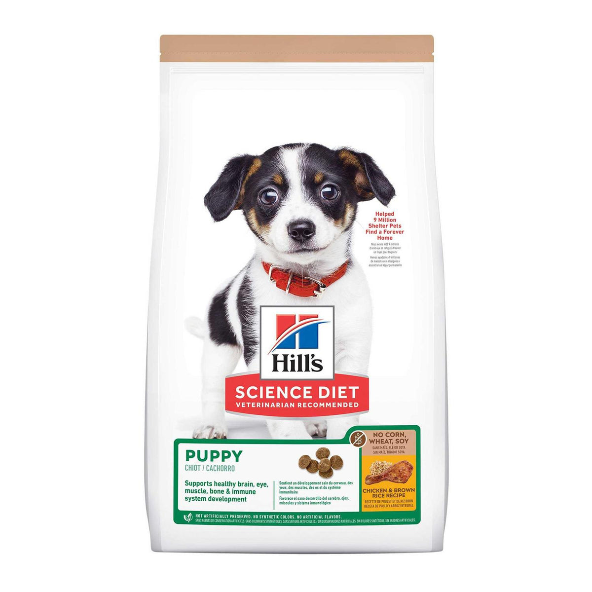 Dry Dog Food L953591