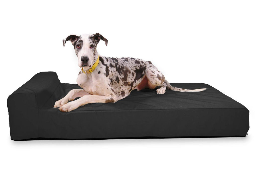 Black X-Large Orthopedic Dog Bed A749299