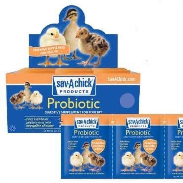 Probiotic Supplement O691