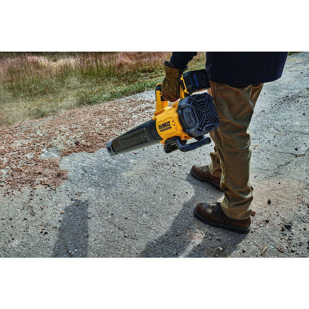 20V MAX Lithium-Ion Brushless Handheld Cordless Blower Kit P245990
