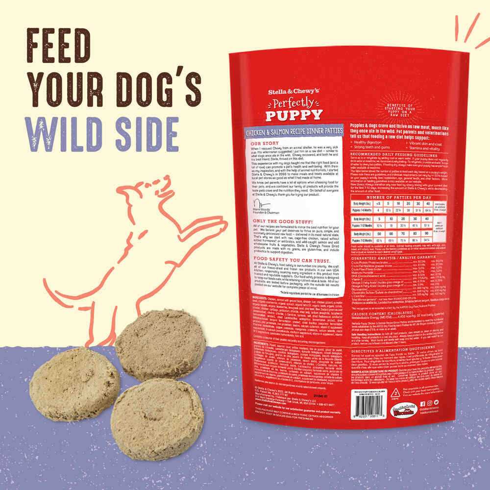 Freeze-Dried Raw Dog Food Salmon Patties M80472