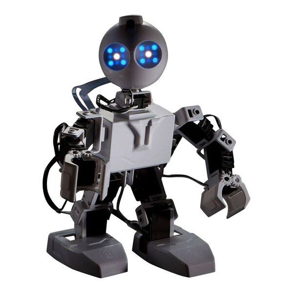 Humanoid Robot J8234