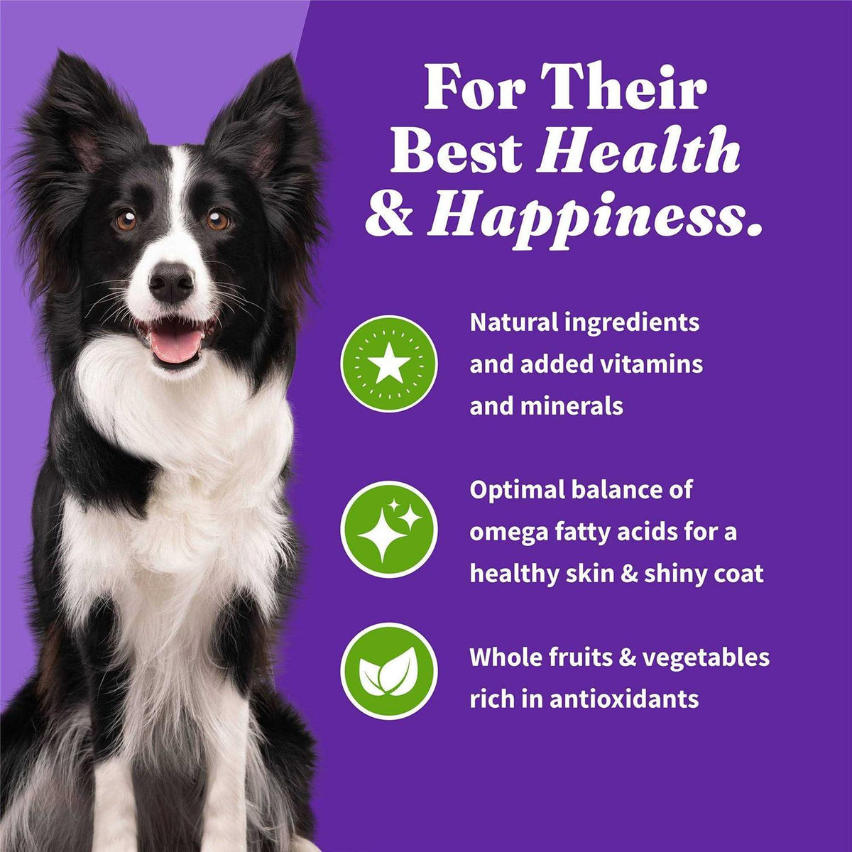 Vegan Plant-Based Dry Dog Food Y6032